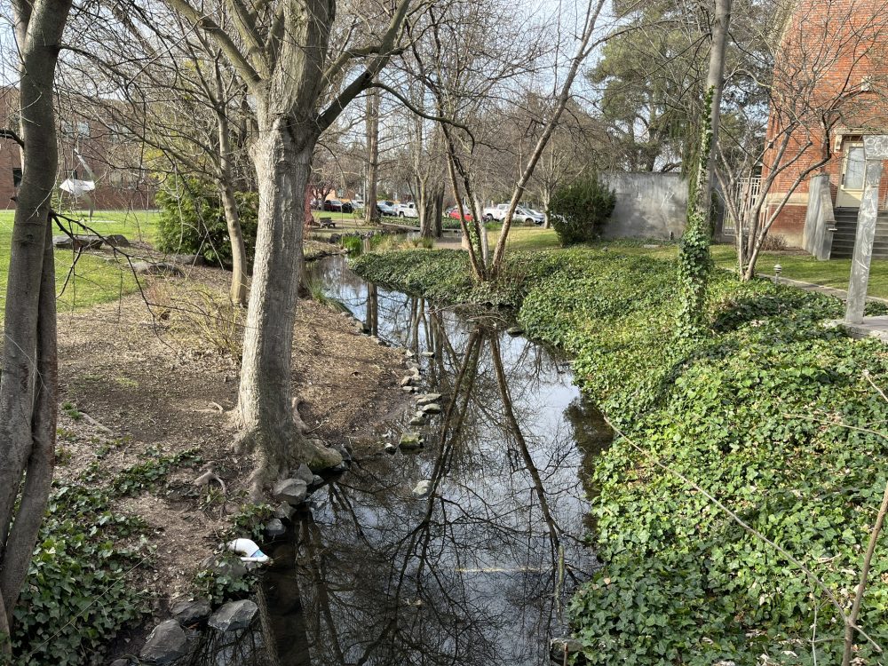 Featured image for “Whitman College rewards the trip to Walla Walla”